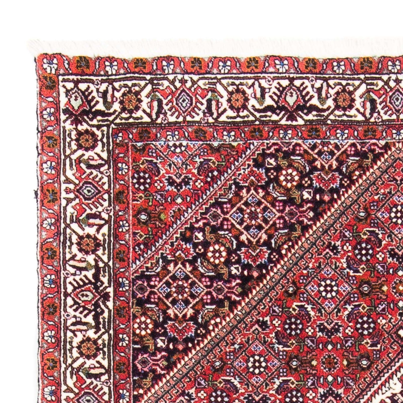 Bidjar Rug 154x90cm - Persian Rugs