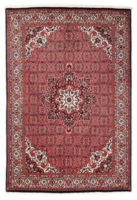 Perser Rug - Bidjar - 240 x 170 cm - red