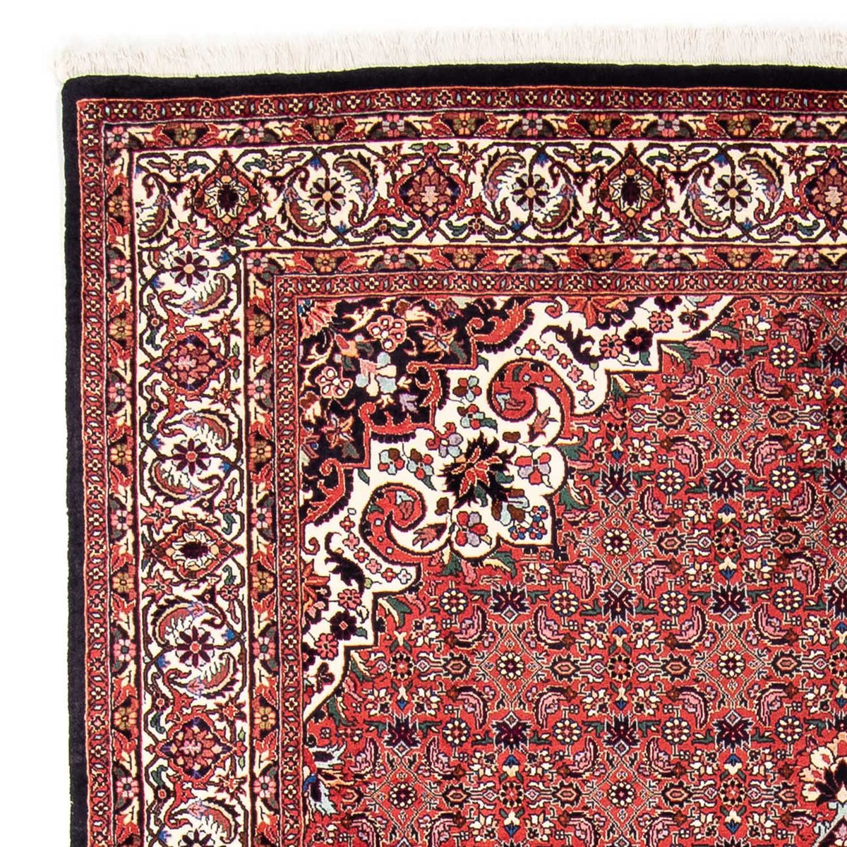 Perser Rug - Bidjar - 240 x 170 cm - red