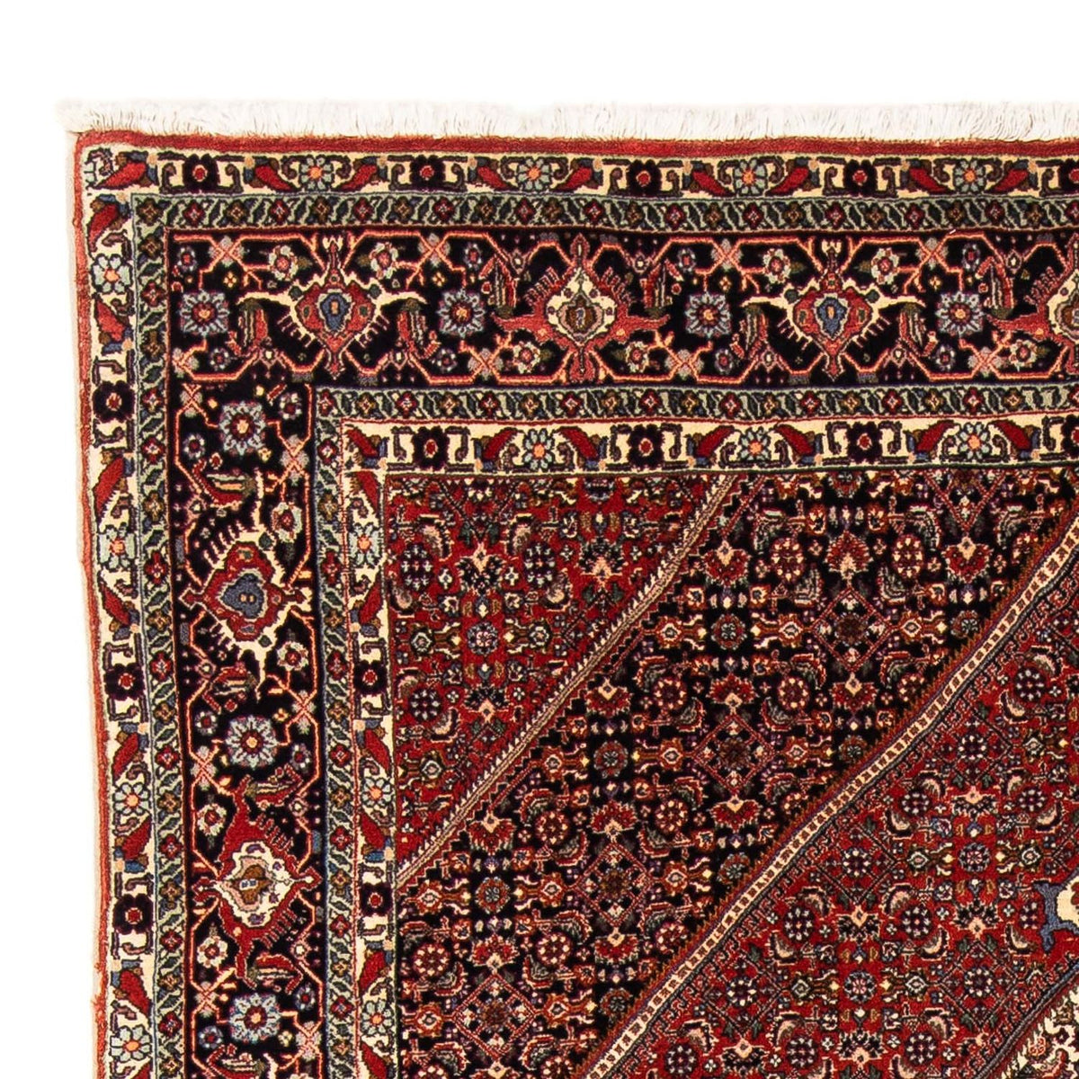 Bidjar Rug 153x244cm - Persian Rugs