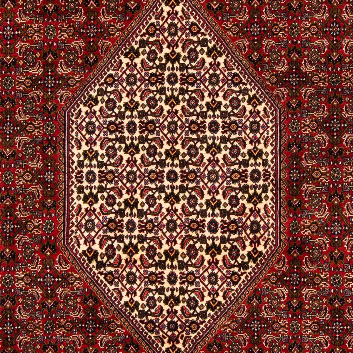 Perser Rug - Bidjar - 263 x 164 cm - dark red