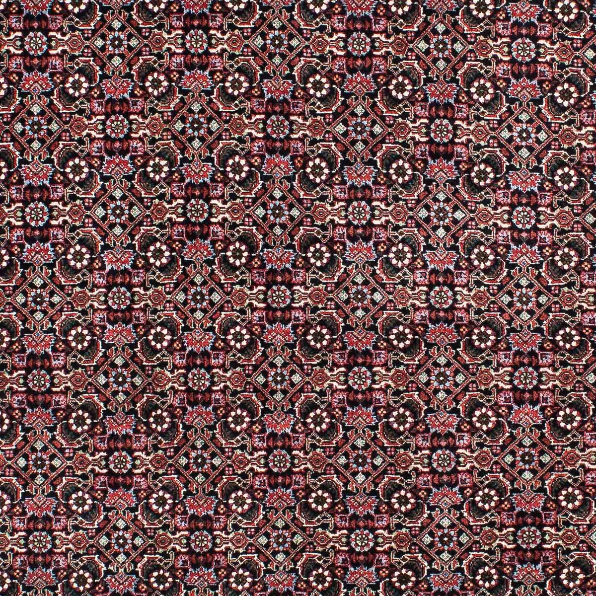 Perser Rug - Bidjar - 207 x 131 cm - multicolored