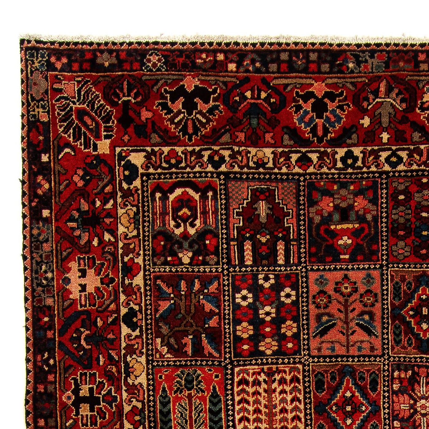 Bakhtiari Rug 351x302cm - Persian Rugs