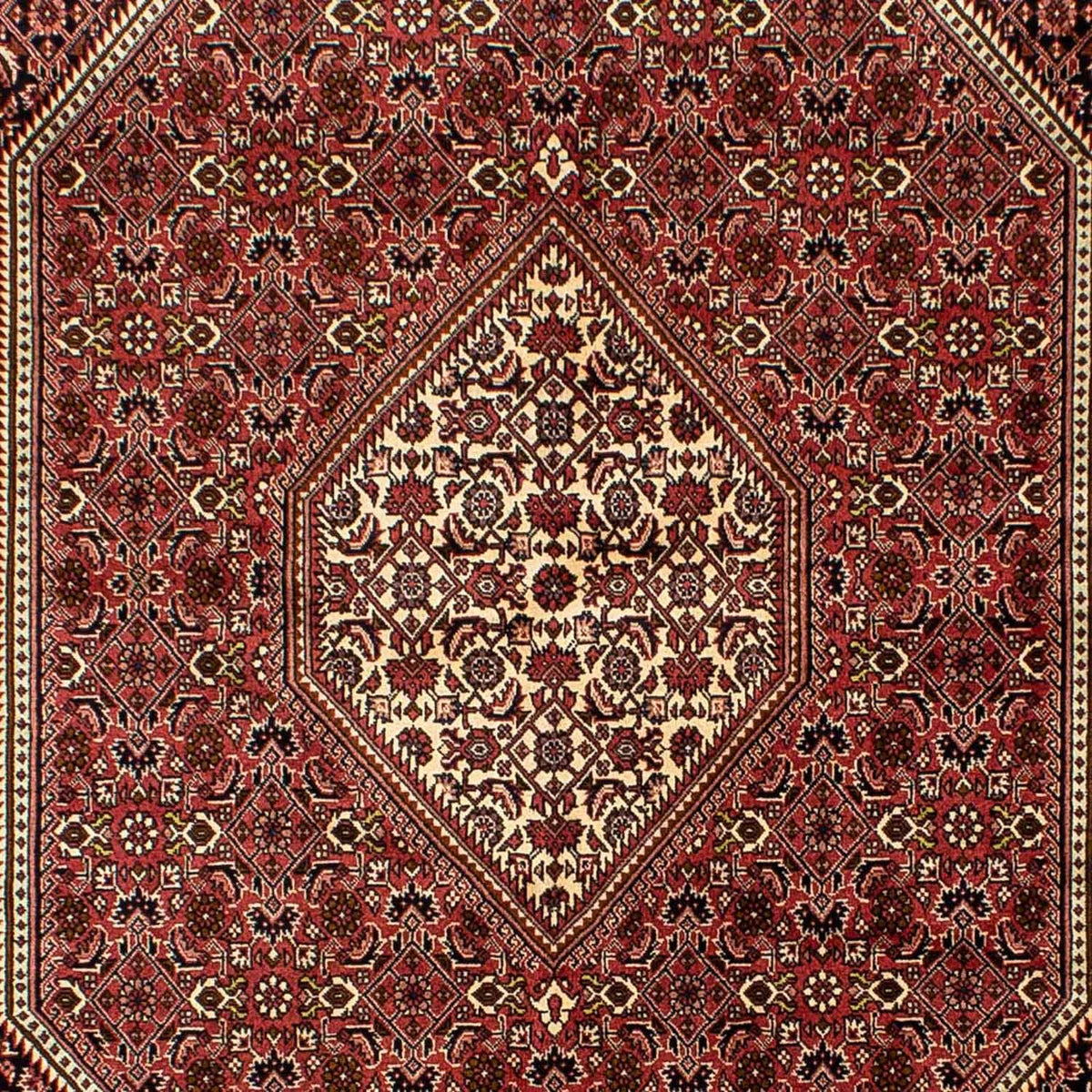 Perser Rug - Bidjar - 243 x 167 cm - dark red