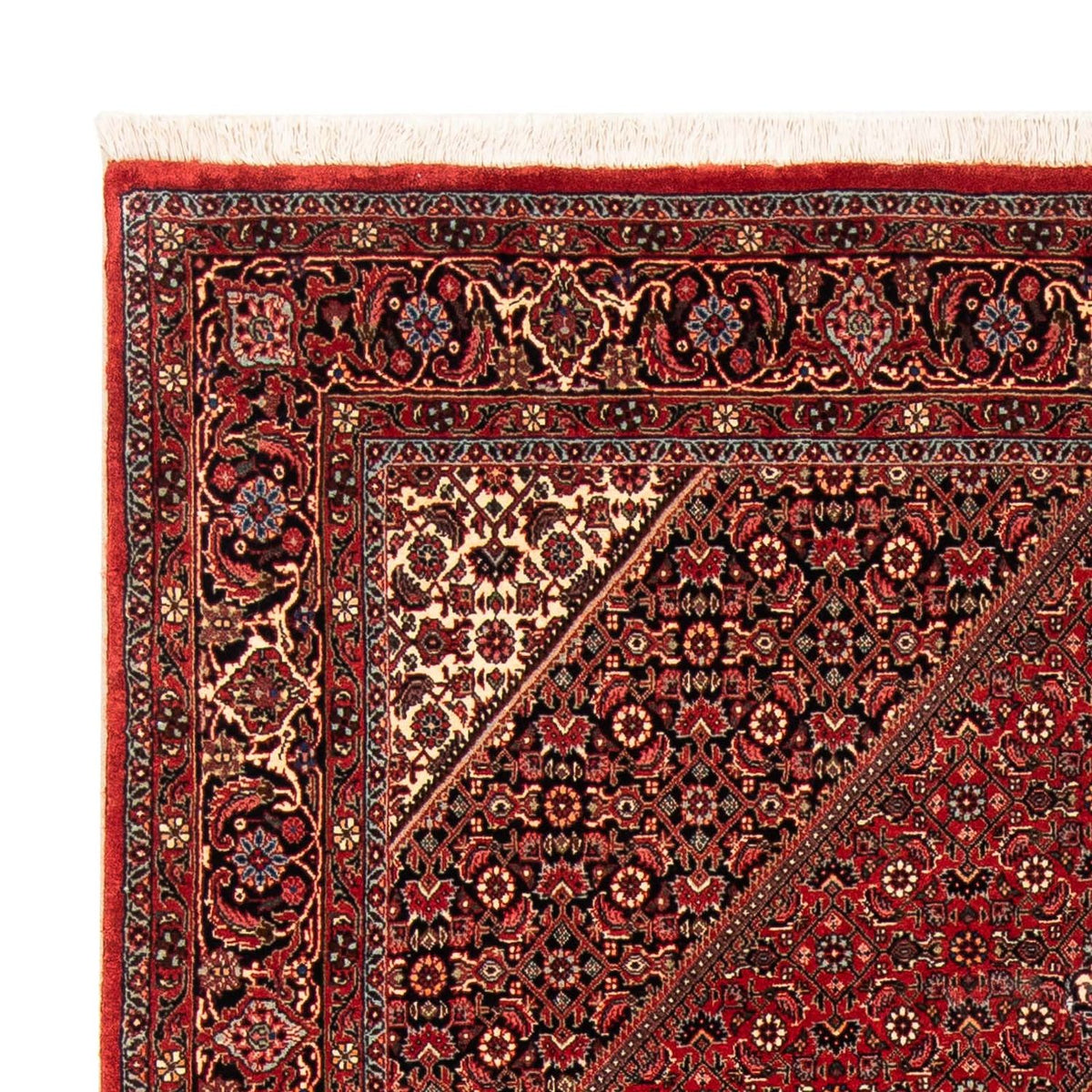 Perser Rug - Bidjar - 232 x 153 cm - red