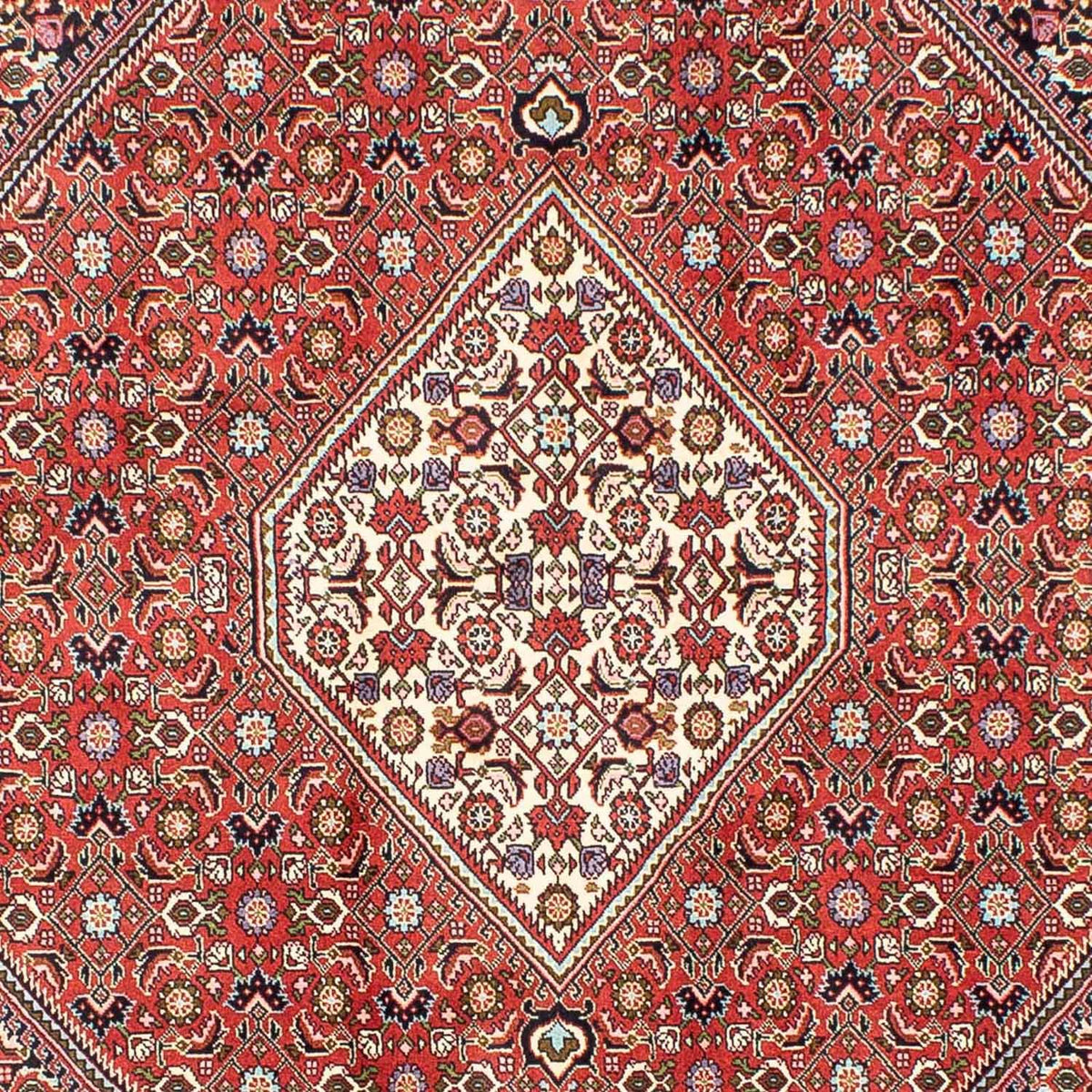 Perser Rug - Bidjar - 240 x 173 cm - red