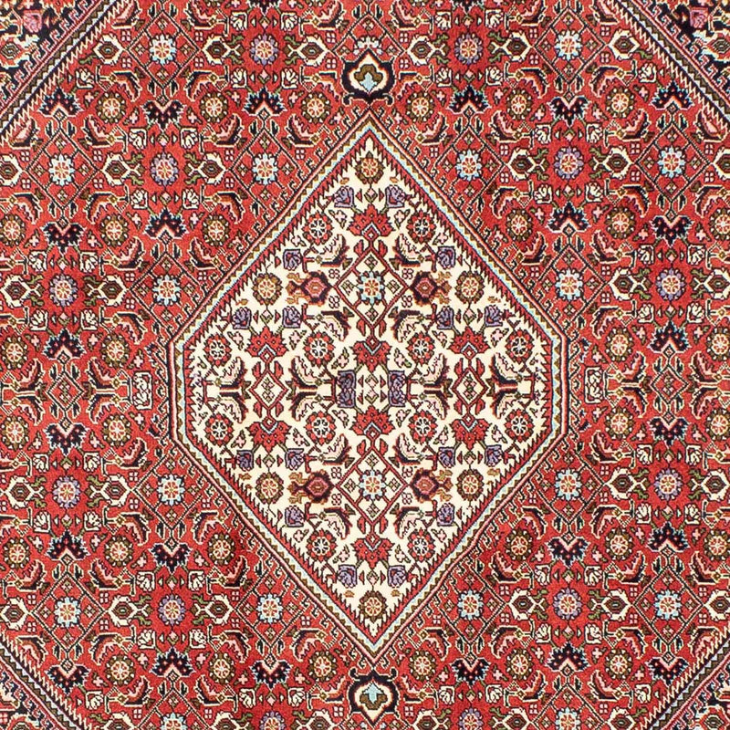 Perser Rug - Bidjar - 240 x 173 cm - red
