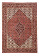 Bidjar Rug 250x175cm - Persian Rugs