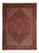 Bidjar Rug 248x338cm - Persian Rugs - brown