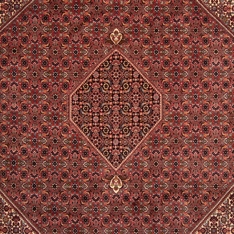 Perser Rug - Bidjar - 338 x 248 cm - brown
