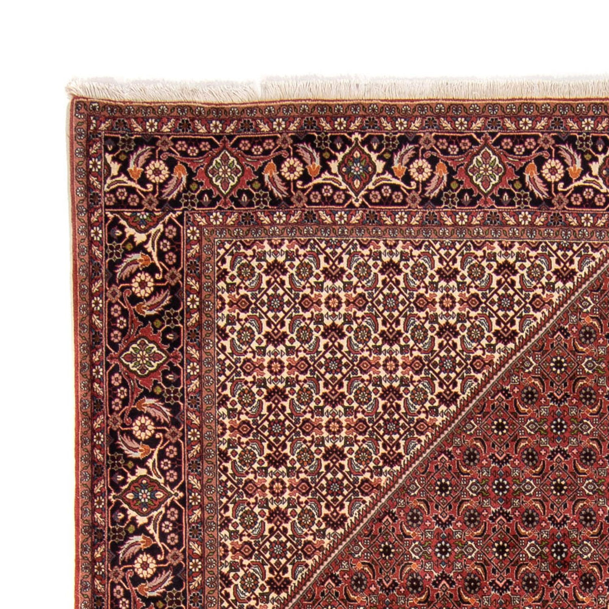 Bidjar Rug 248x338cm - Persian Rugs - brown