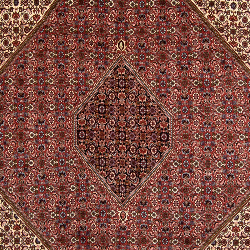Perser Rug - Bidjar - 340 x 252 cm - brown