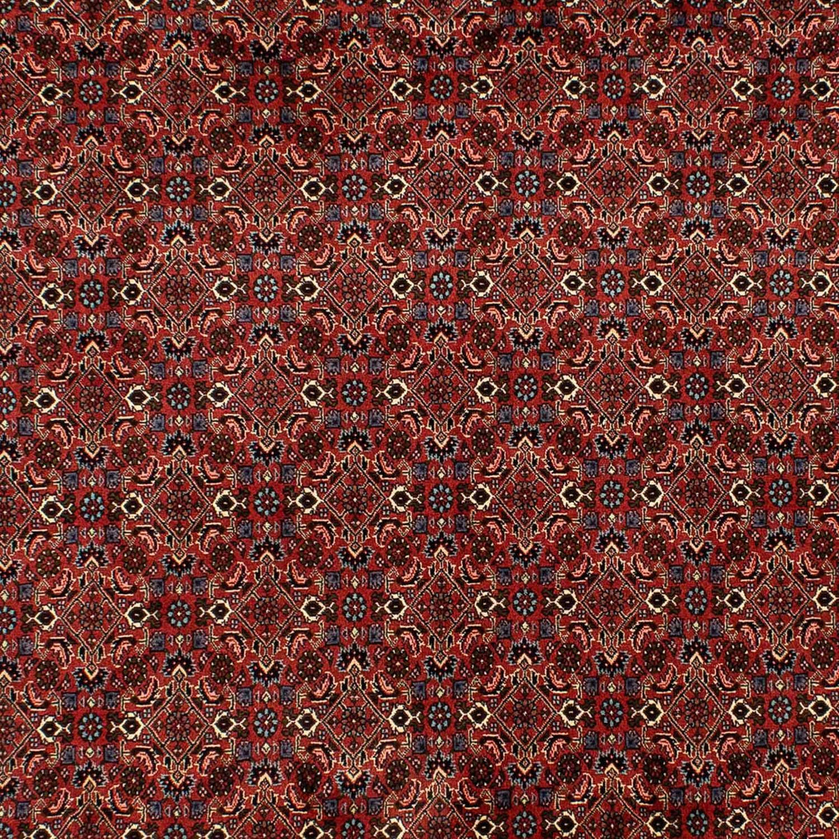 Perser Rug - Bidjar - 284 x 200 cm - dark red