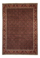 Bidjar Teppich 345x245cm - Perserteppich