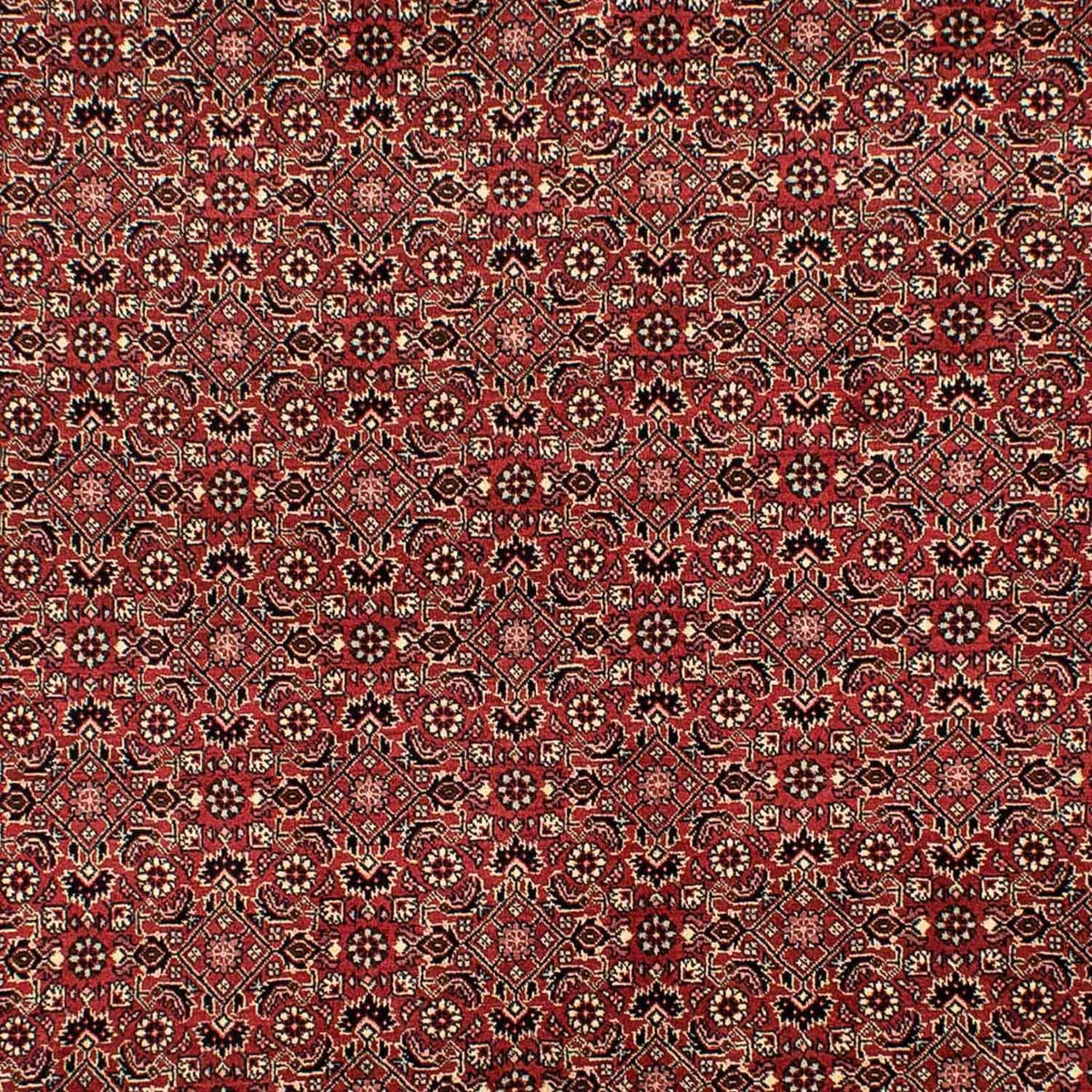 Perser Rug - Bidjar - 305 x 198 cm - dark red