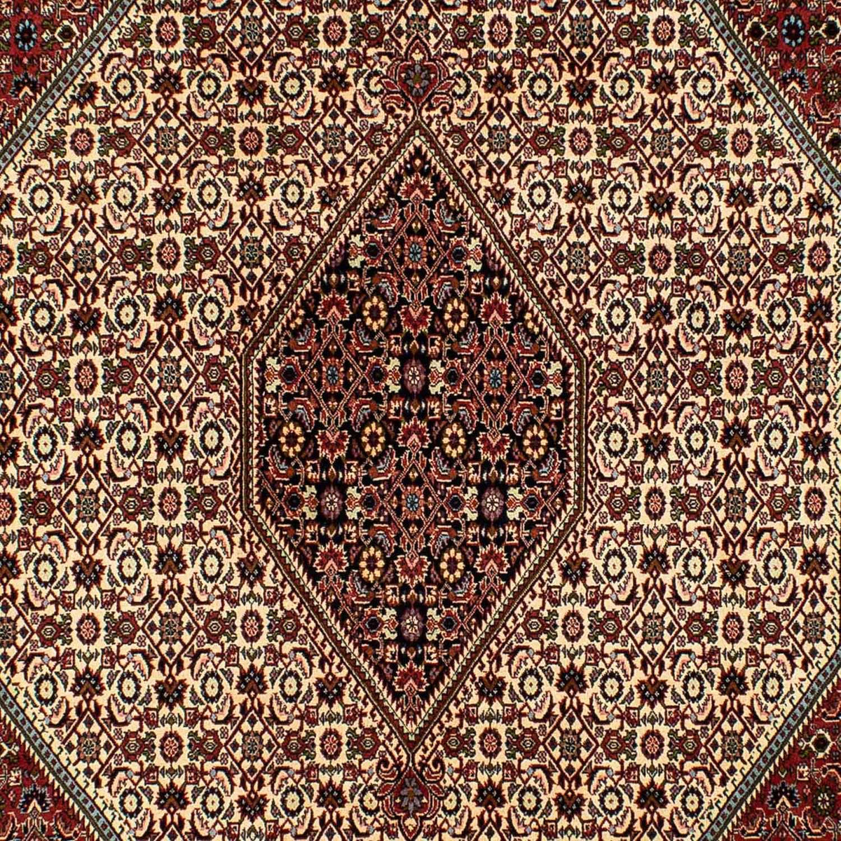 Perser Rug - Bidjar - 300 x 200 cm - beige