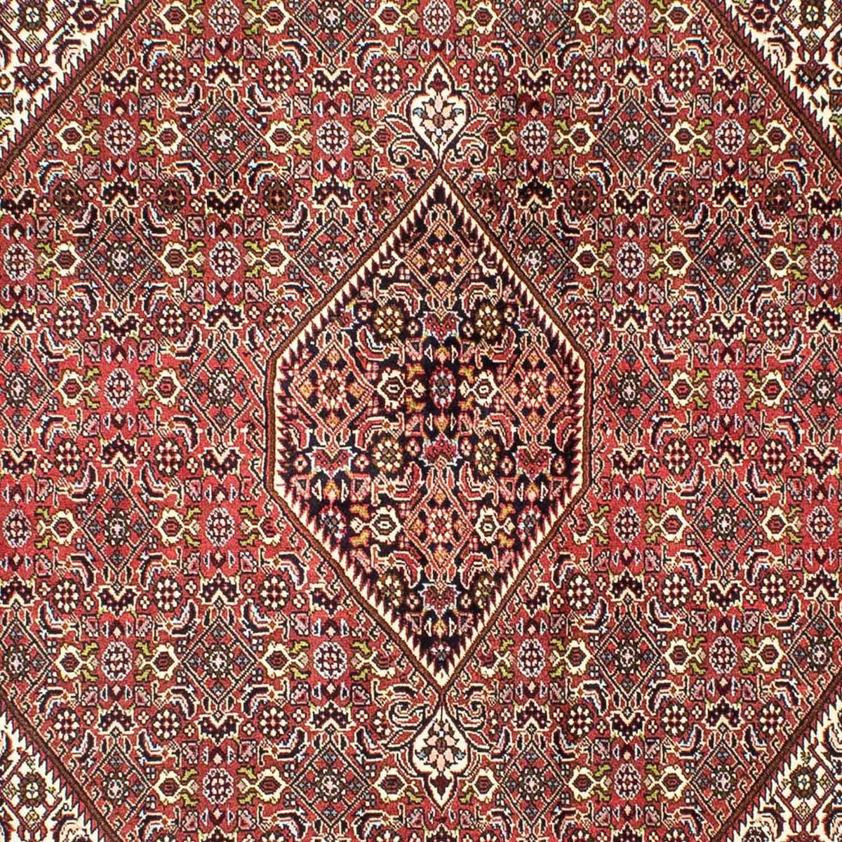 Perser Rug - Bidjar - 251 x 174 cm - light red
