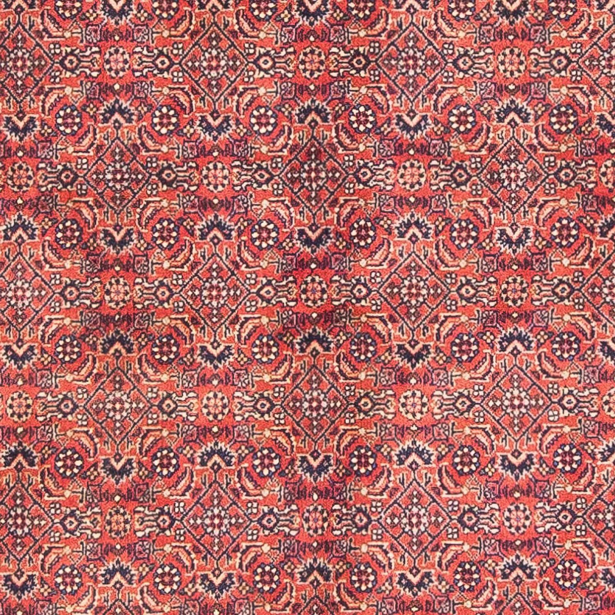 Perser Rug - Bidjar - 154 x 90 cm - red