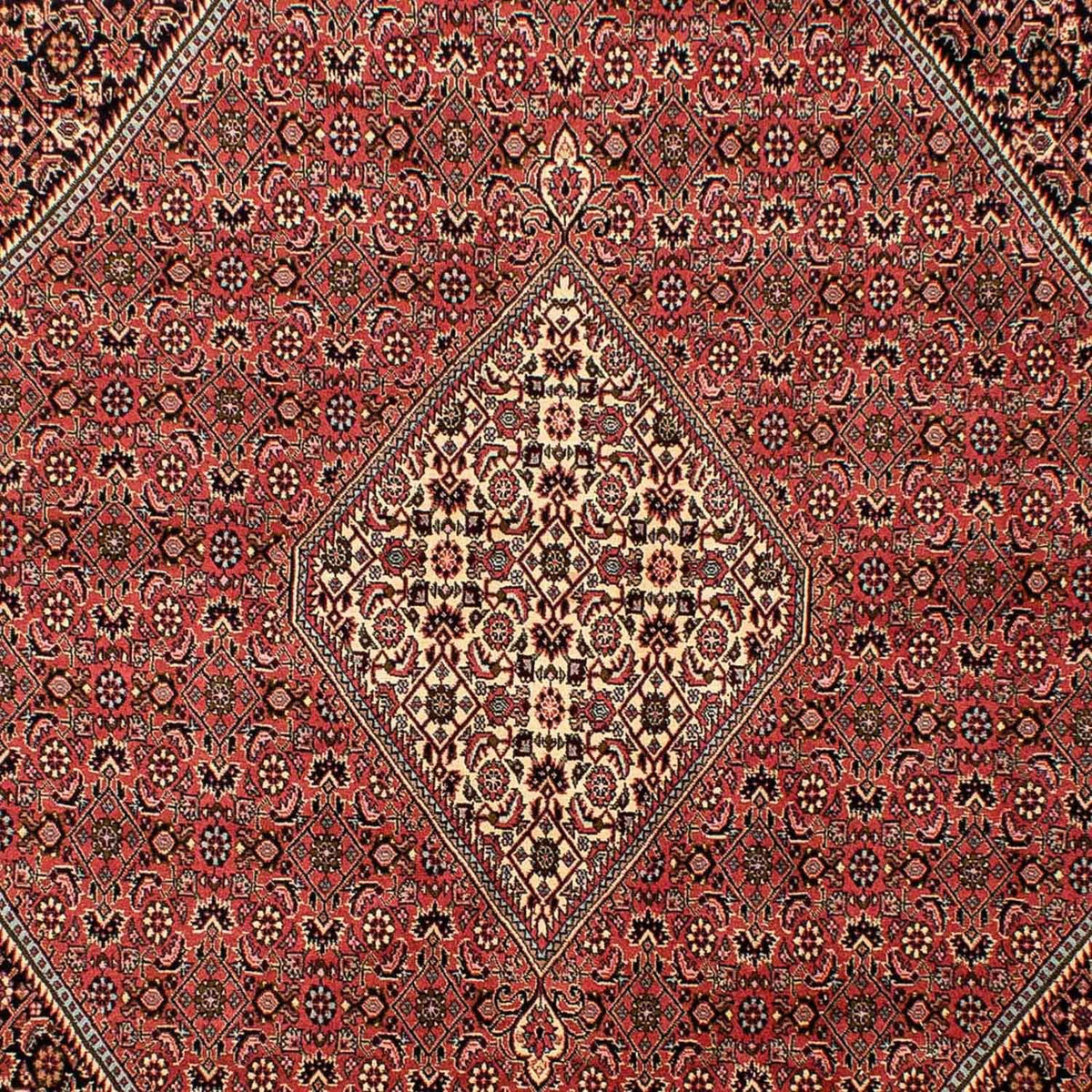 Perser Rug - Bidjar - 293 x 205 cm - light red
