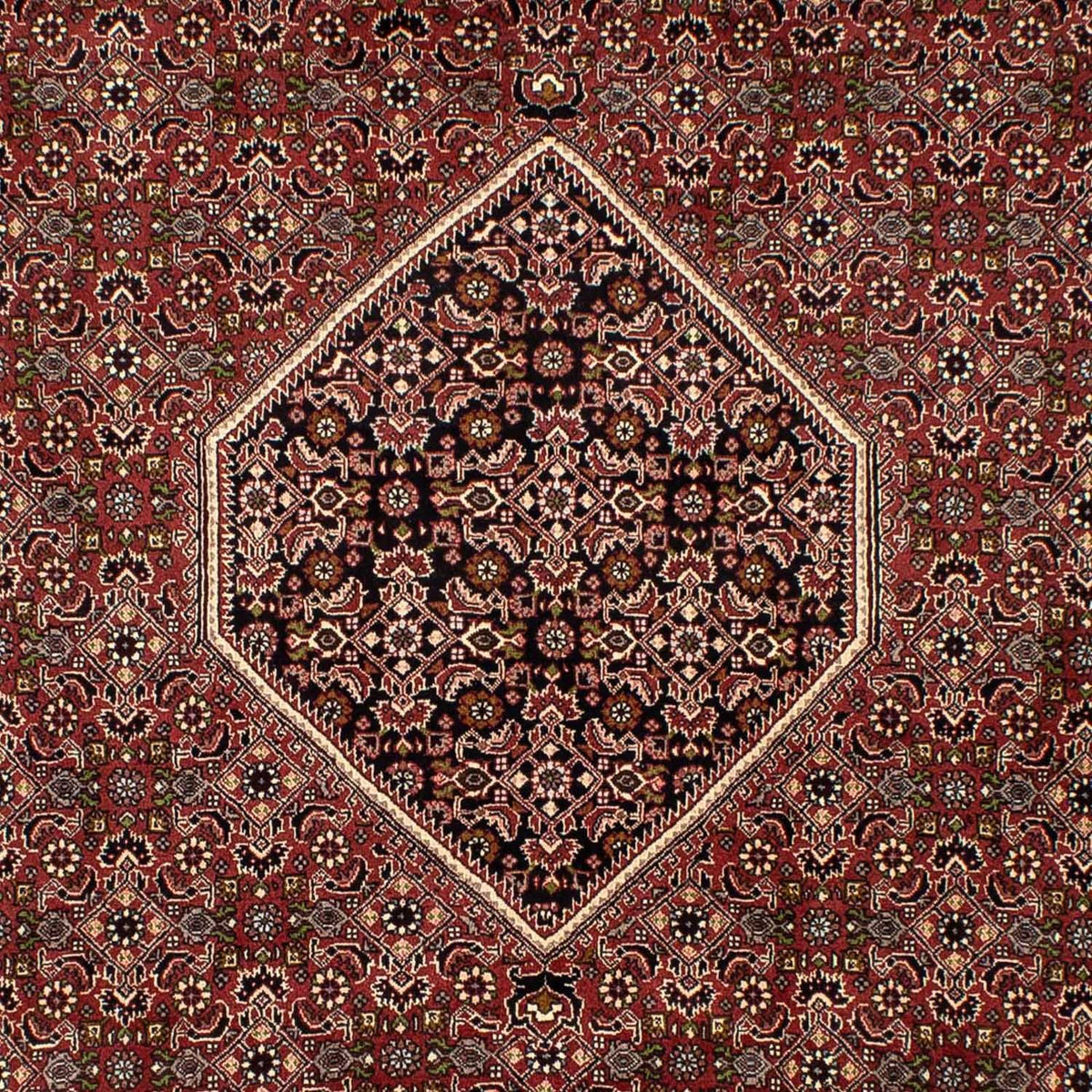 Perser Rug - Bidjar - 300 x 197 cm - brown