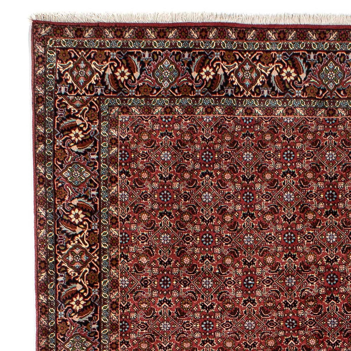 Bidjar Rug 198x288cm - Persian Rugs