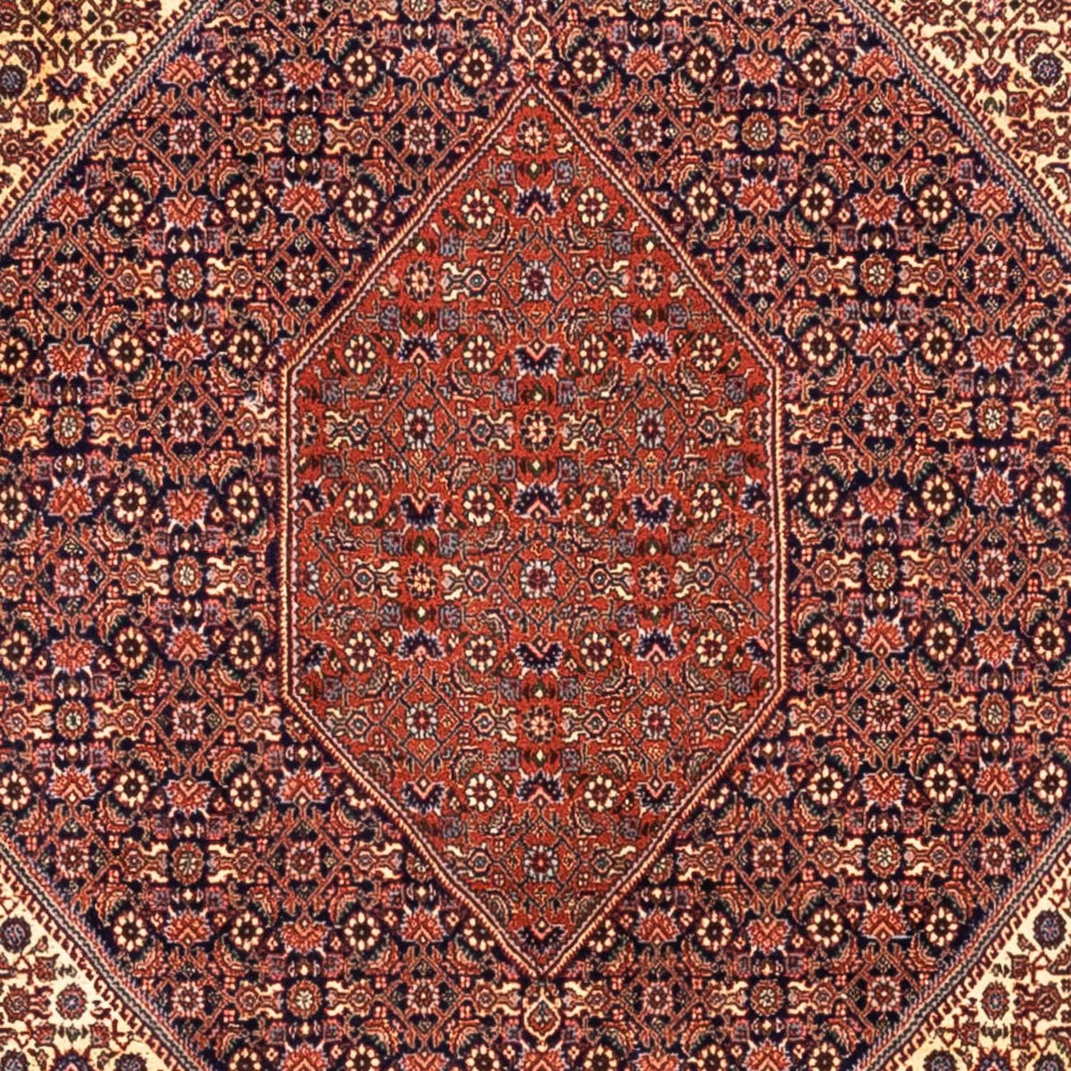 Perser Rug - Bidjar - 340 x 254 cm - red