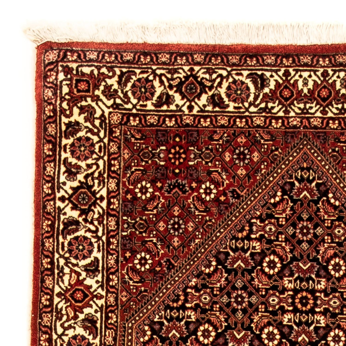 Runner Perser Rug - Bidjar - 315 x 86 cm - multicolored