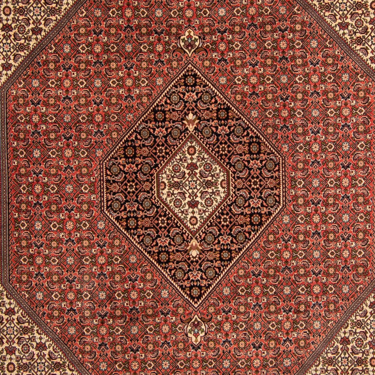 Perser Rug - Bidjar - 343 x 250 cm - brown