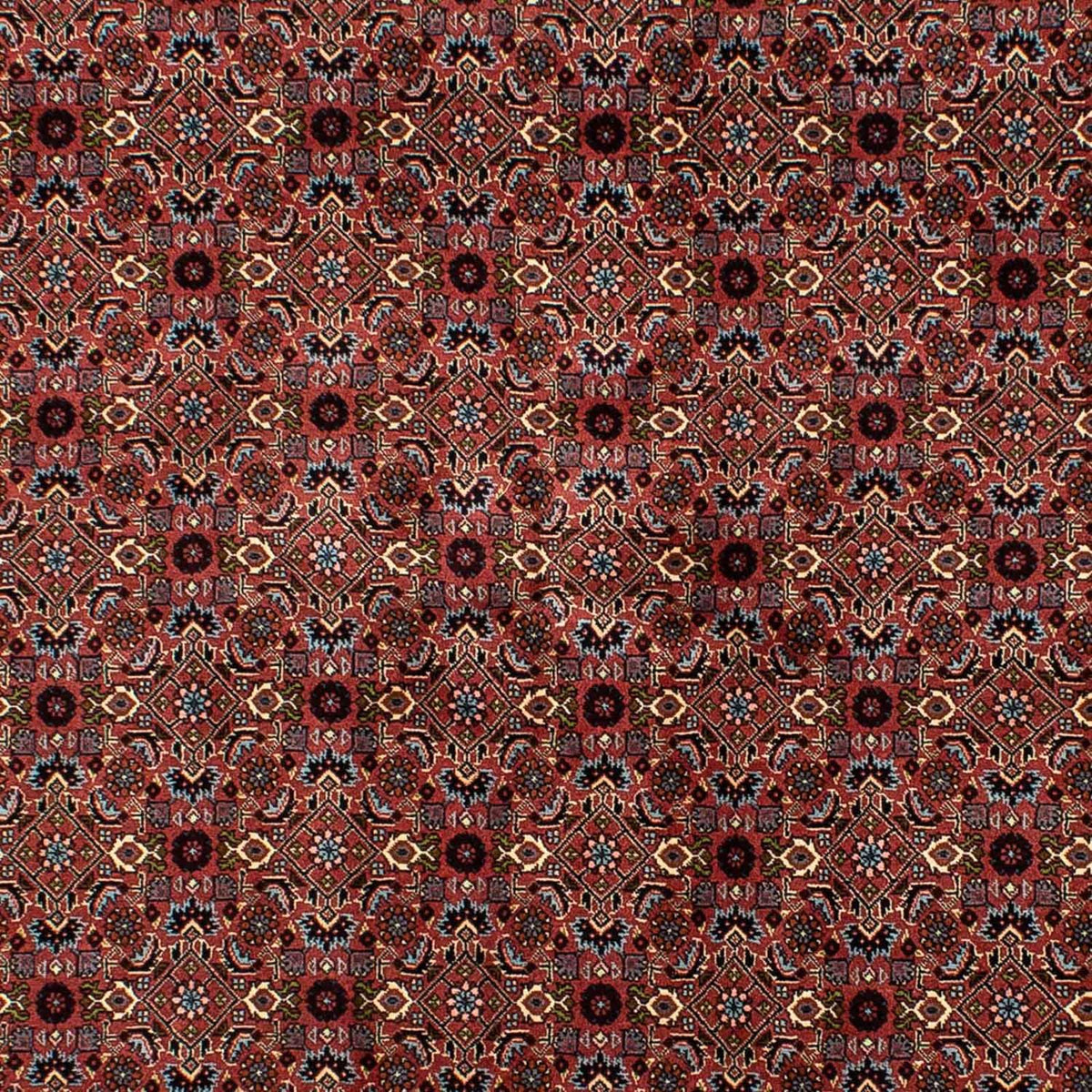 Perser Rug - Bidjar - 257 x 178 cm - dark red