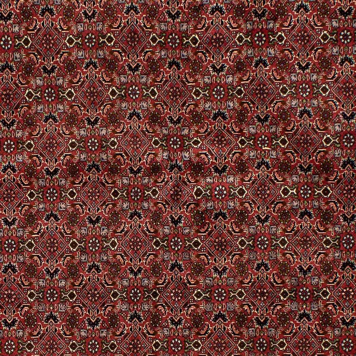 Perser Rug - Bidjar - 245 x 177 cm - dark red