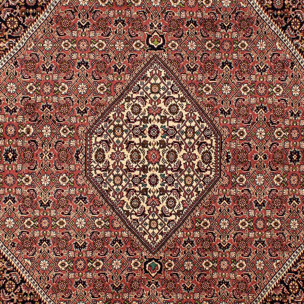 Perser Rug - Bidjar - 290 x 200 cm - light red