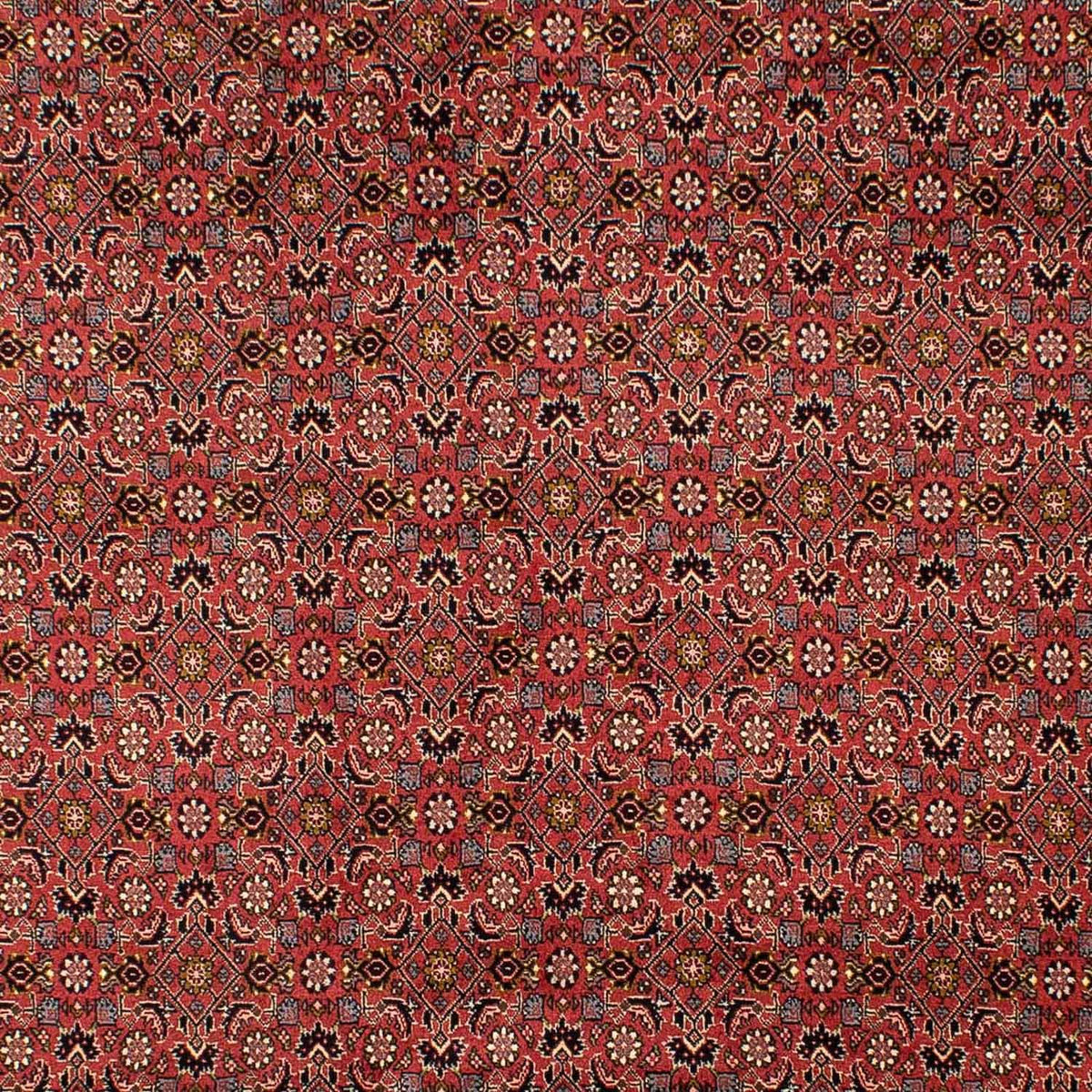 Perser Rug - Bidjar - 293 x 206 cm - dark red