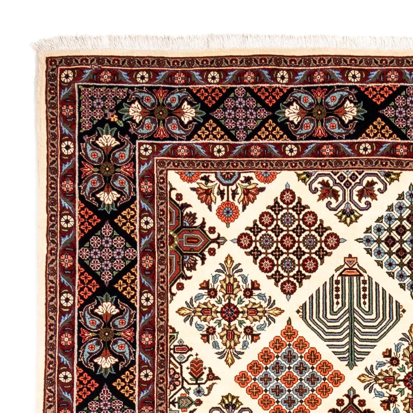 Bidjar - Takab Rug 301x205cm - Persian Rugs