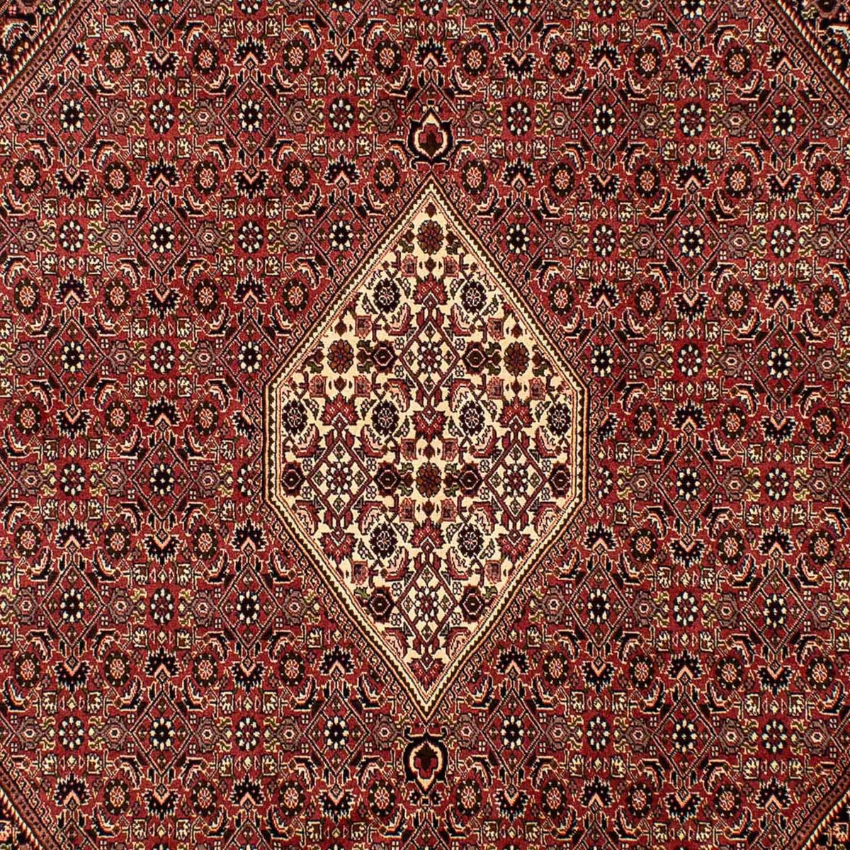 Perser Rug - Bidjar - 288 x 200 cm - brown