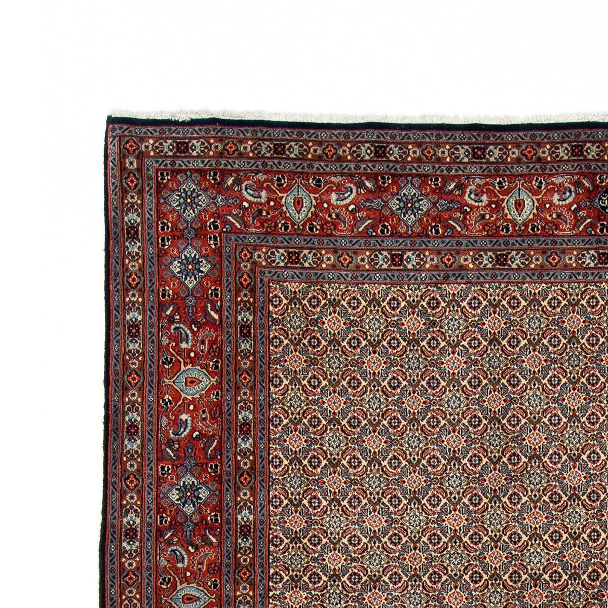 Moud Rug 204x303cm - Persian Rugs