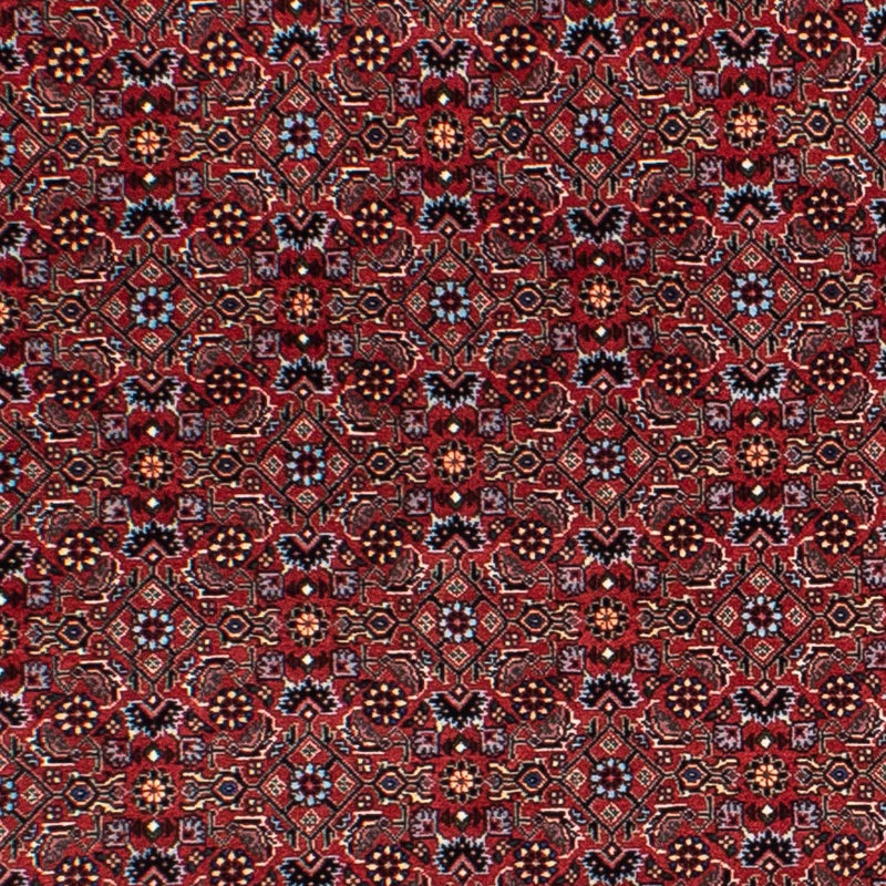 Bidjar Rug 160x160cm - Persian Rugs