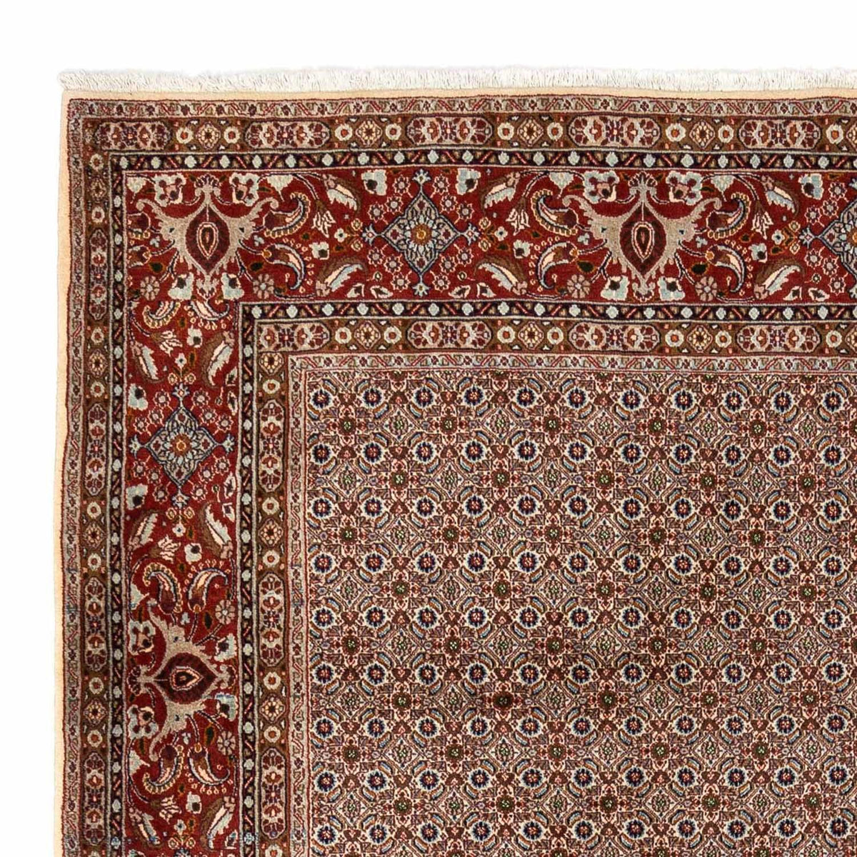Perser Rug - Classic - 350 x 260 cm - brown