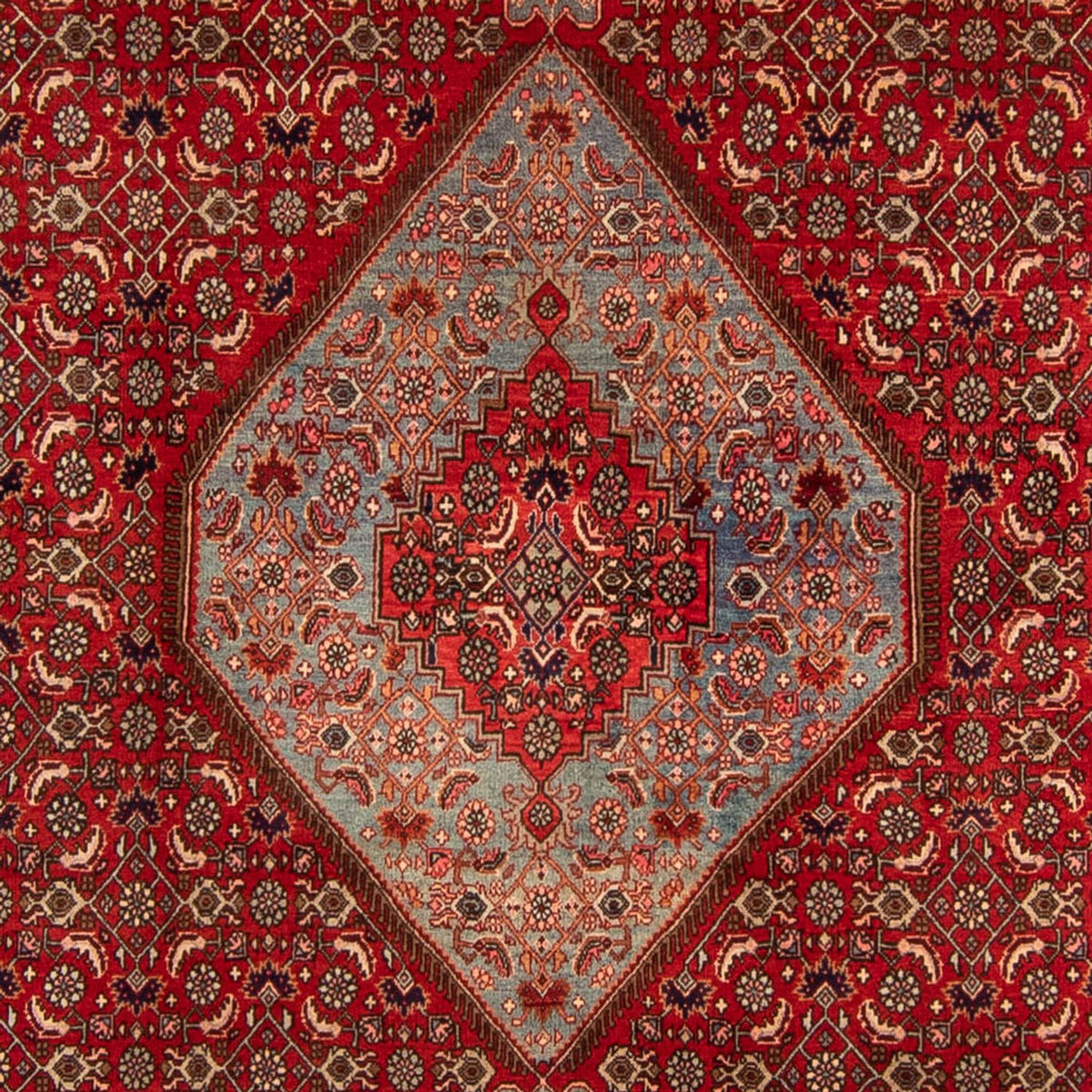 Perser Rug - Bidjar - 332 x 228 cm - dark red