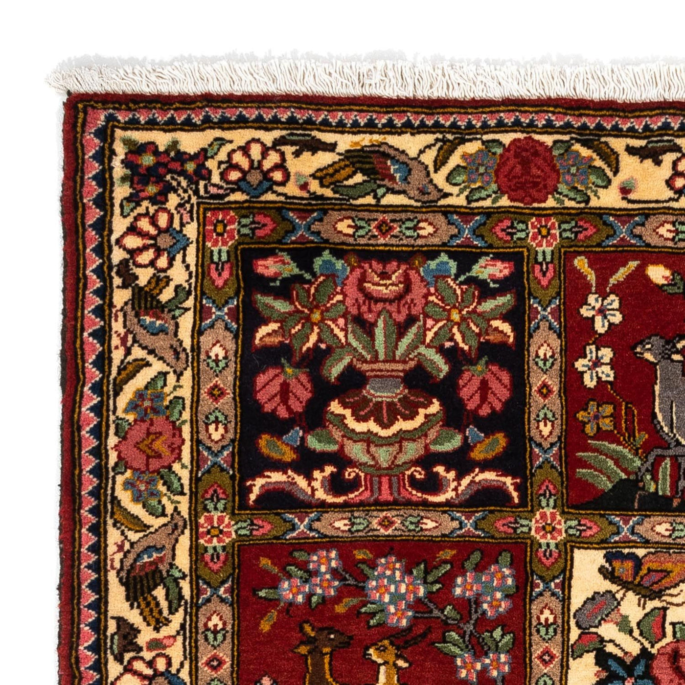 Bakhtiari Rug 164x111cm - Persian Rugs