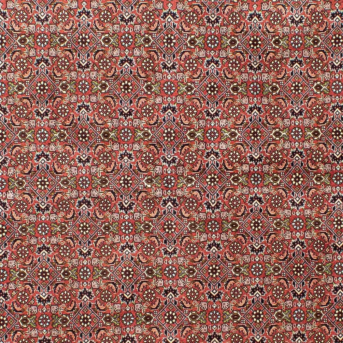 Perser Rug - Bidjar - 251 x 172 cm - light red