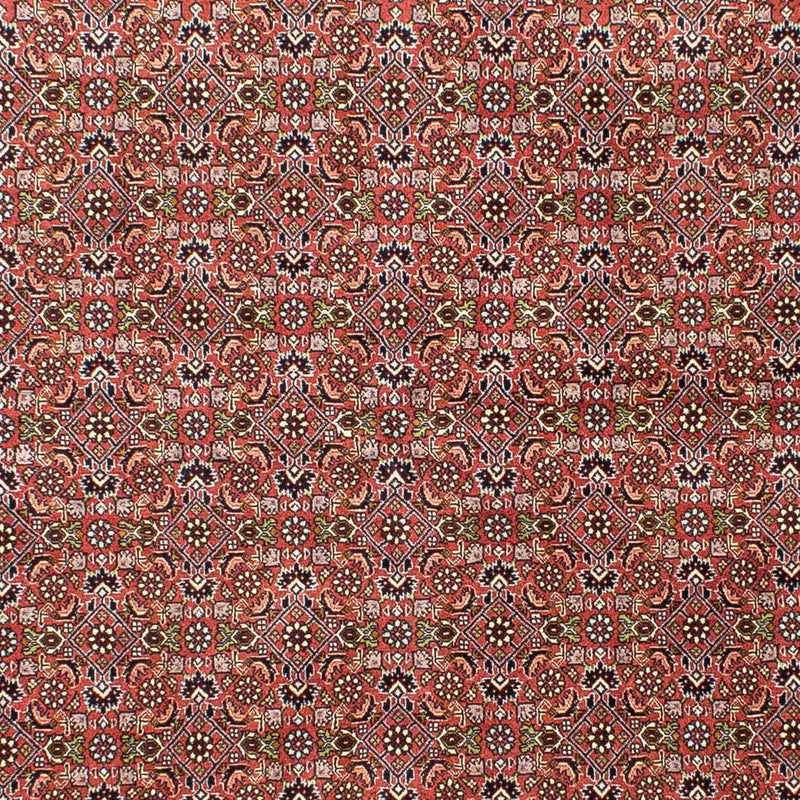 Perser Rug - Bidjar - 251 x 172 cm - light red