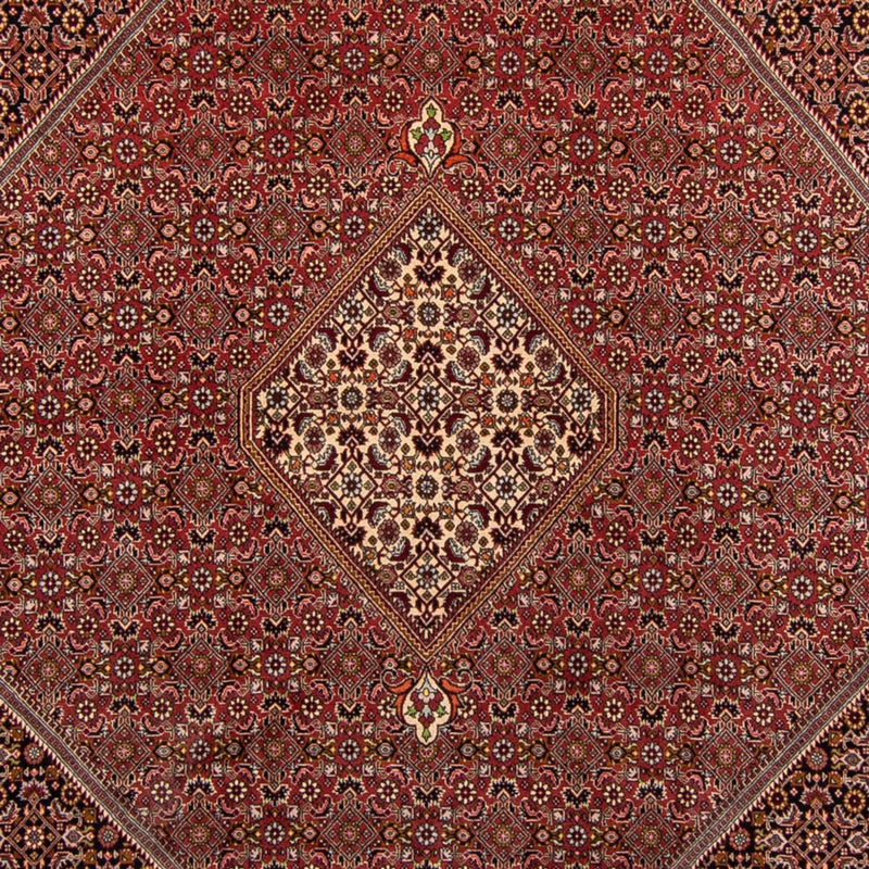 Perser Rug - Bidjar - 338 x 250 cm - brown