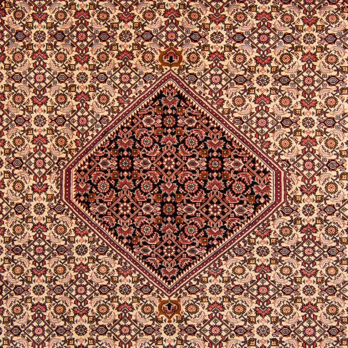 Perser Rug - Bidjar - 330 x 247 cm - light red