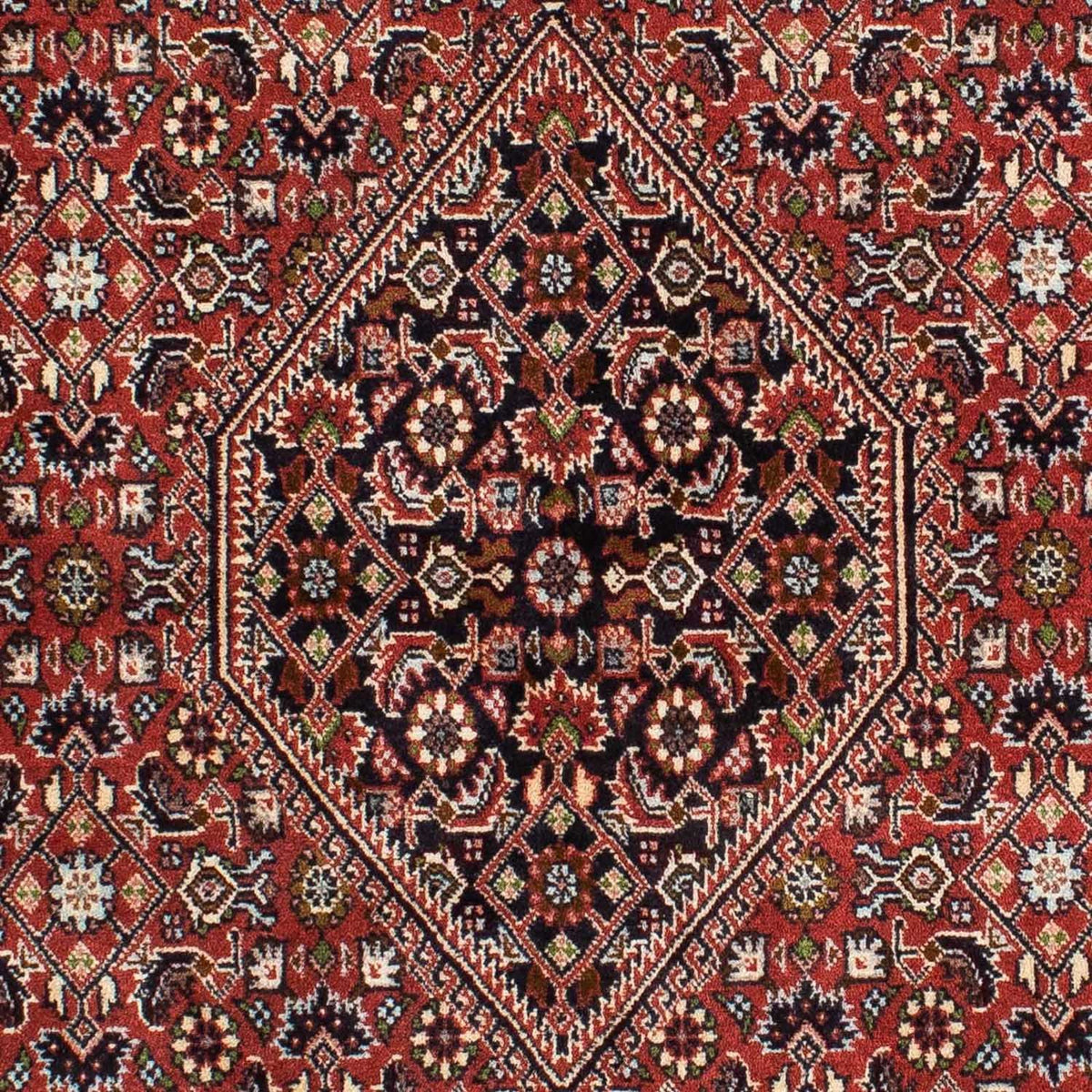 Perser Rug - Bidjar - 228 x 139 cm - red