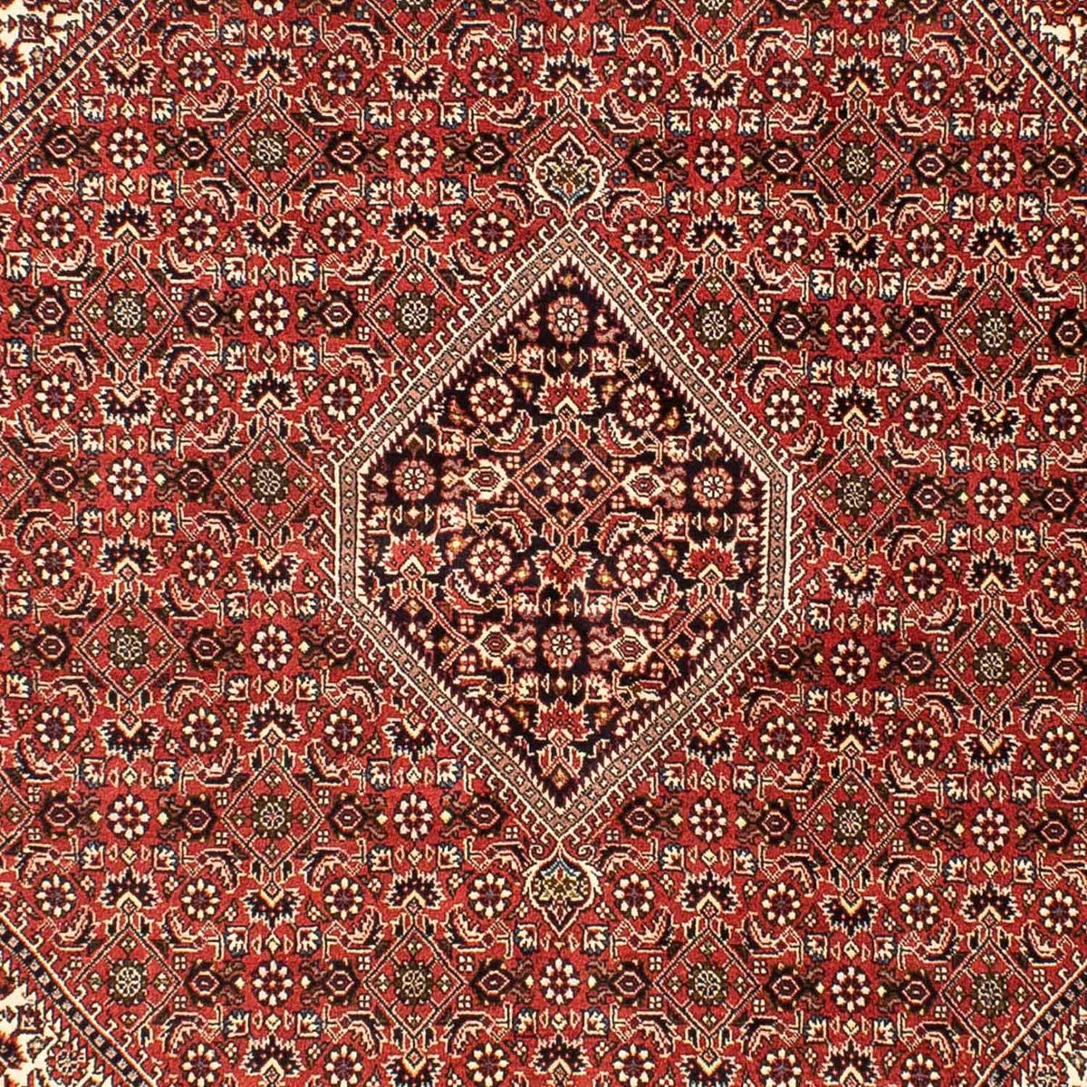 Perser Rug - Bidjar - 242 x 173 cm - light red