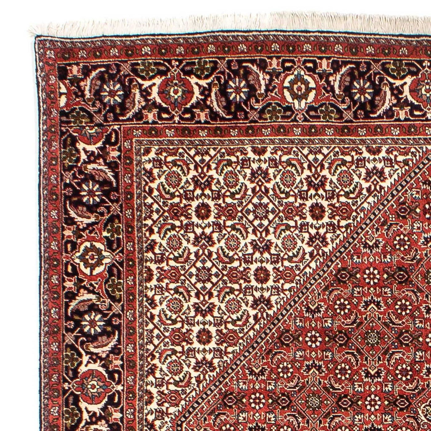 Bidjar Rug 242x173cm - Persian Rugs