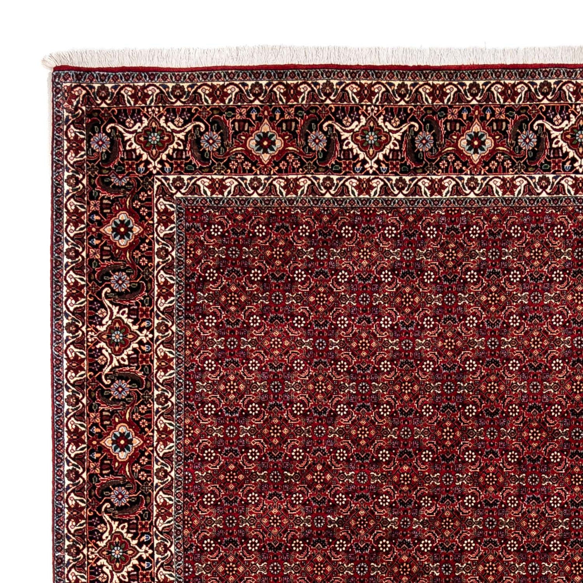 Perser Rug - Bidjar - 350 x 250 cm - red
