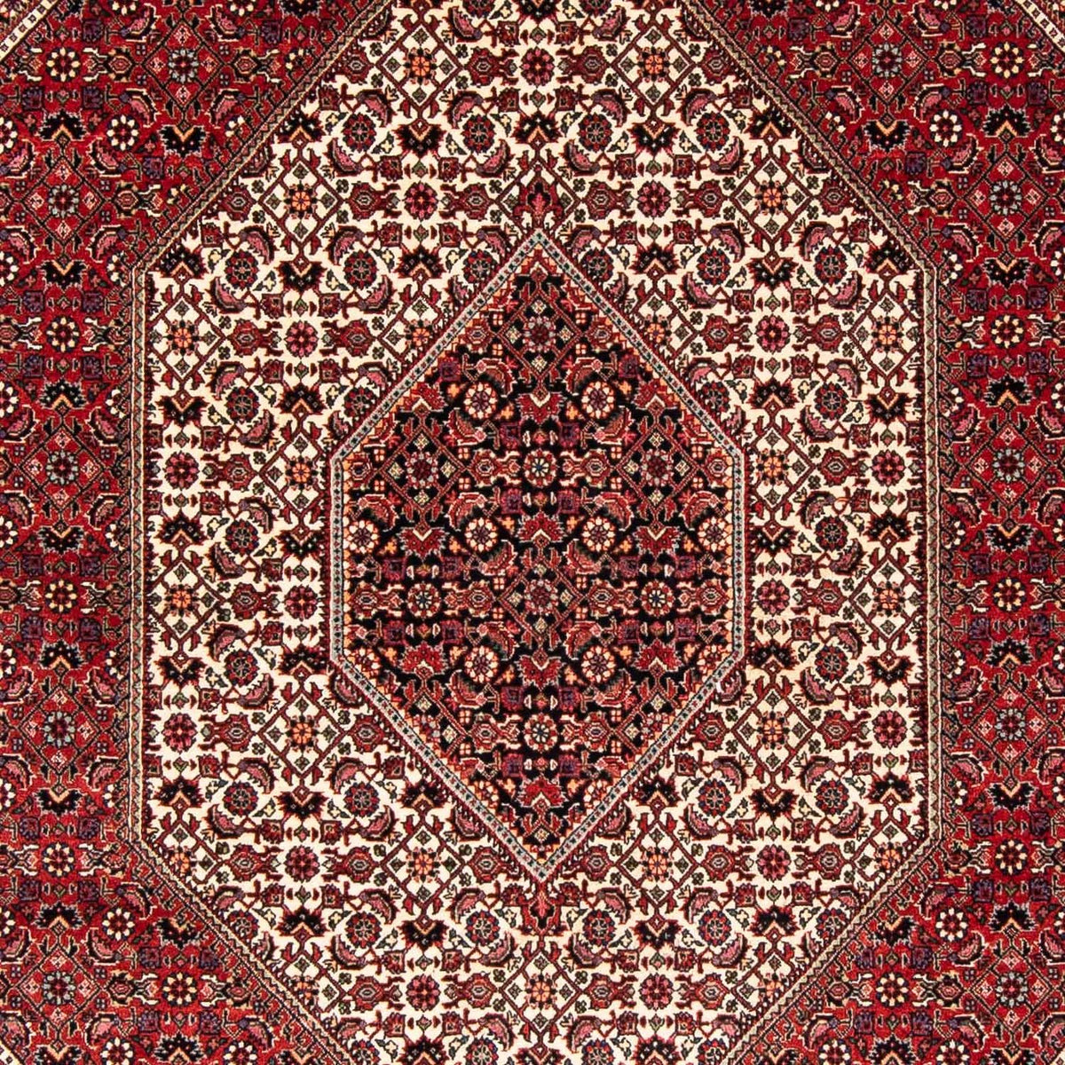 Perser Rug - Bidjar - 242 x 170 cm - red