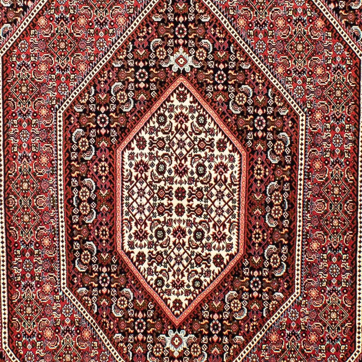 Perser Rug - Bidjar - 257 x 162 cm - light red