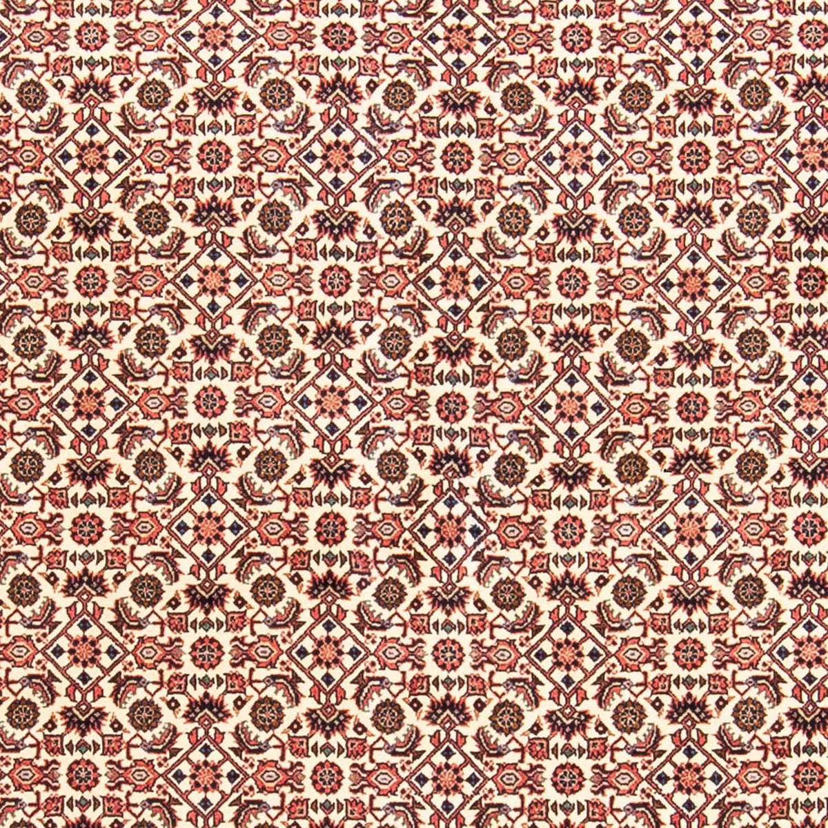 Perser Rug - Bidjar - 237 x 170 cm - light red